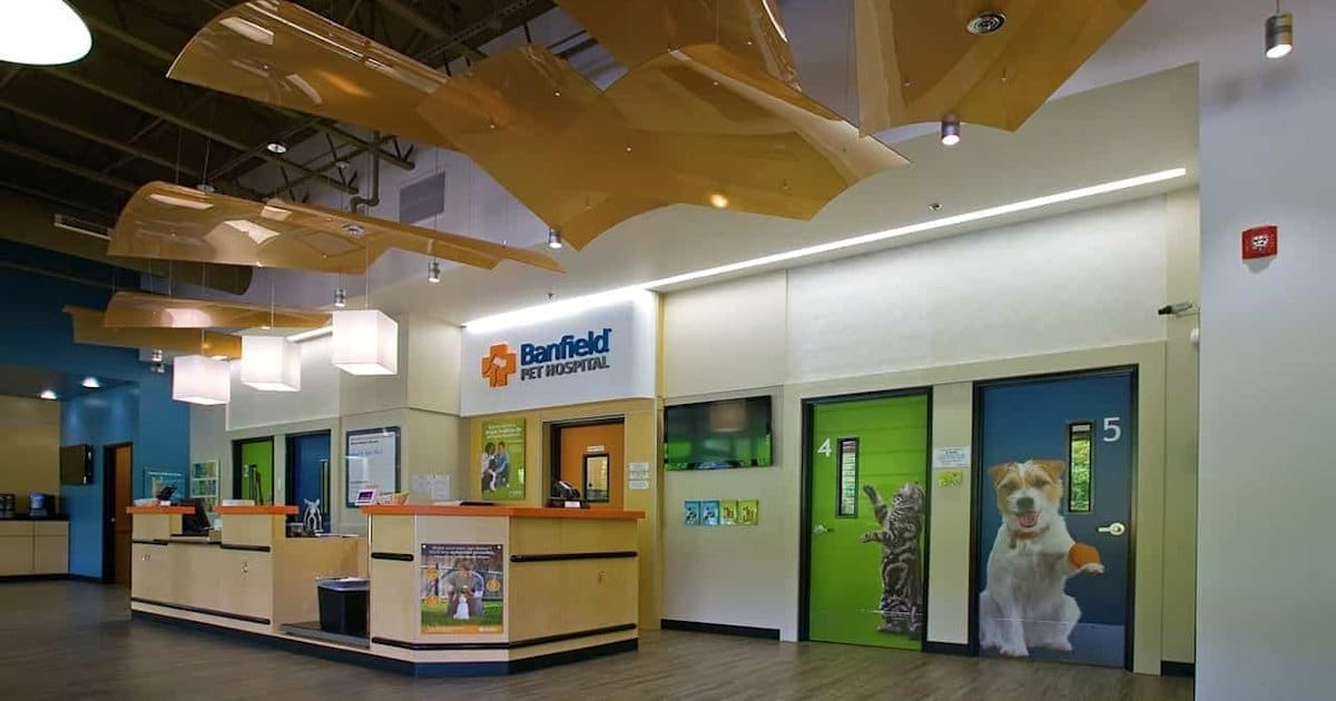 Case Study Banfield Pet Hospitals