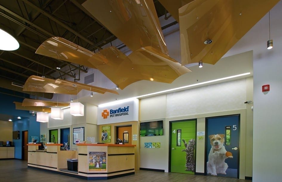 Banfield Pet Hospitals | King Retail Solutions