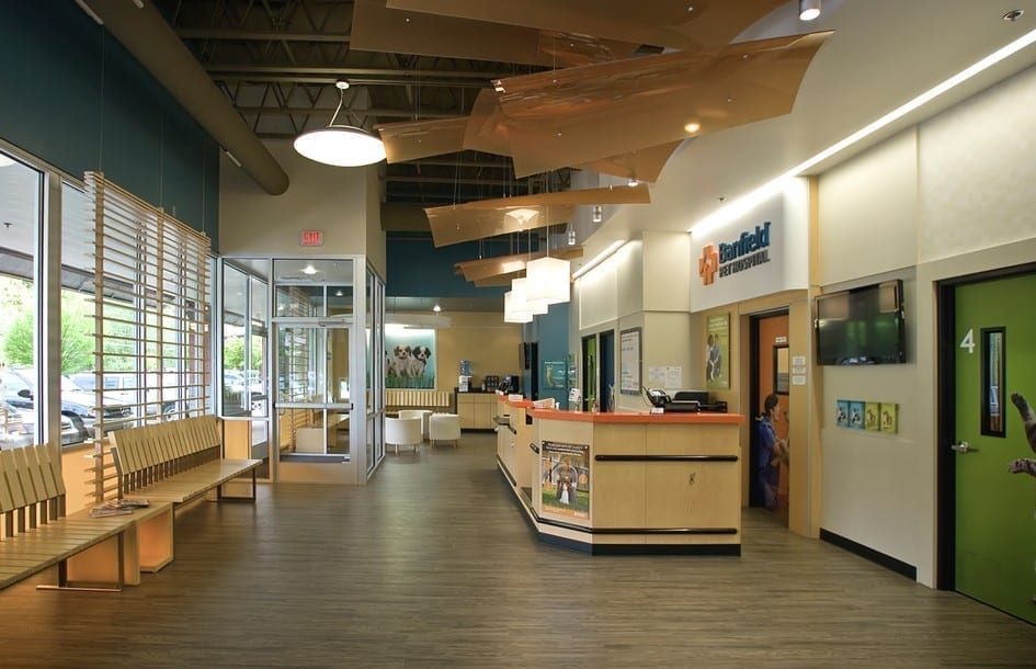 Banfield Pet Hospitals | King Retail Solutions