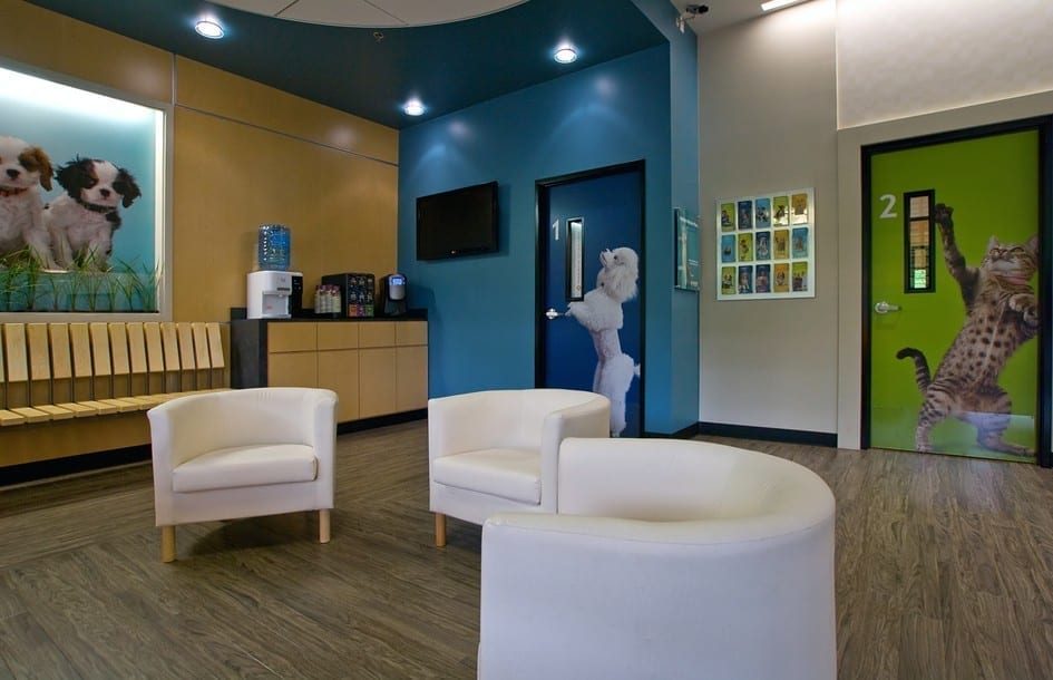 Banfield Pet Hospitals King Retail Solutions