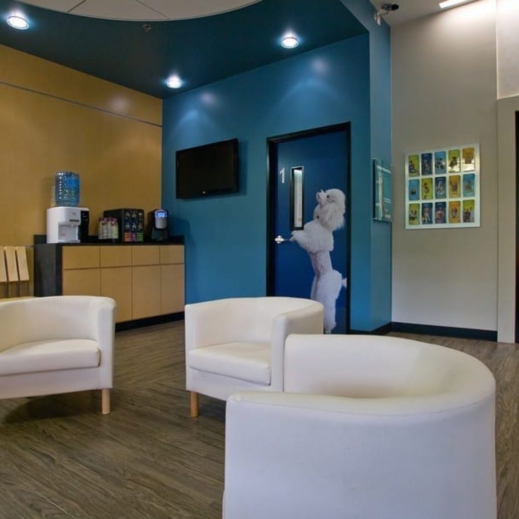 Banfield Pet Hospitals | King Retail Solutions