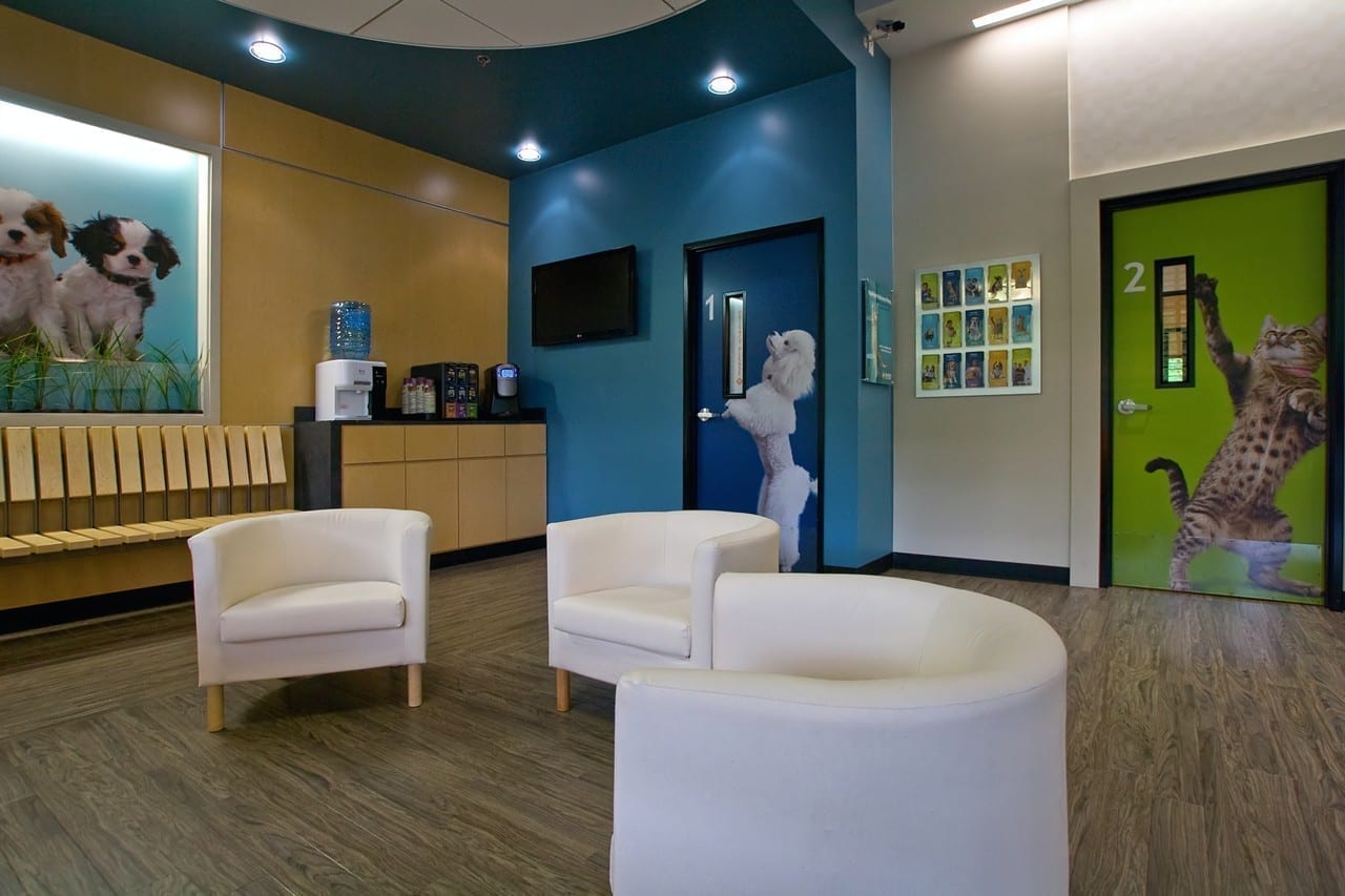 Banfield Pet Hospitals King Retail Solutions